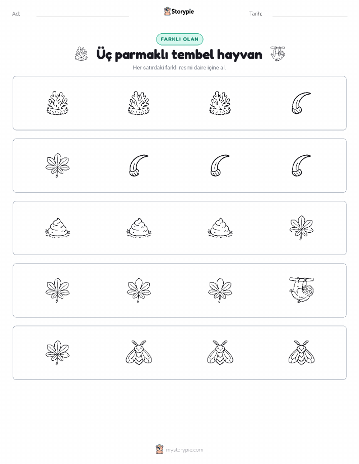 Farklı Olanı Bul