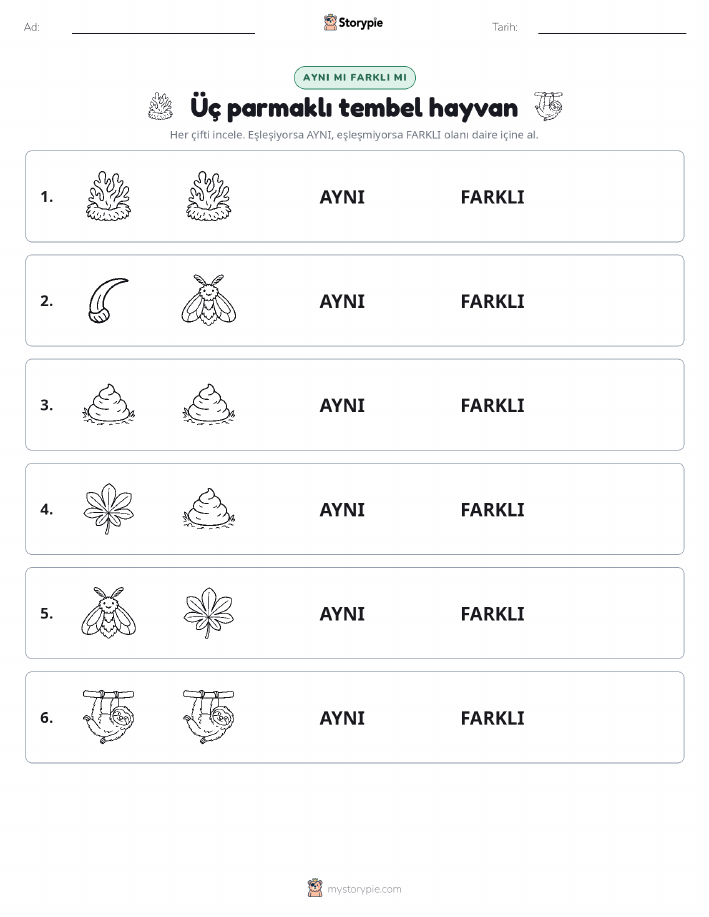 Aynı mı Farklı mı