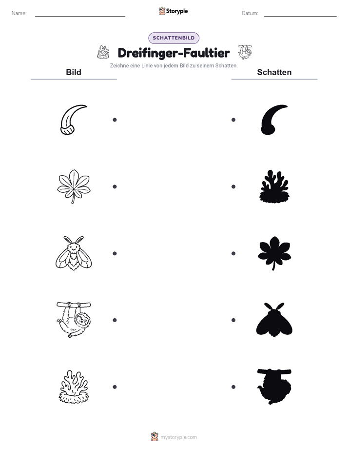 Schattenmatch