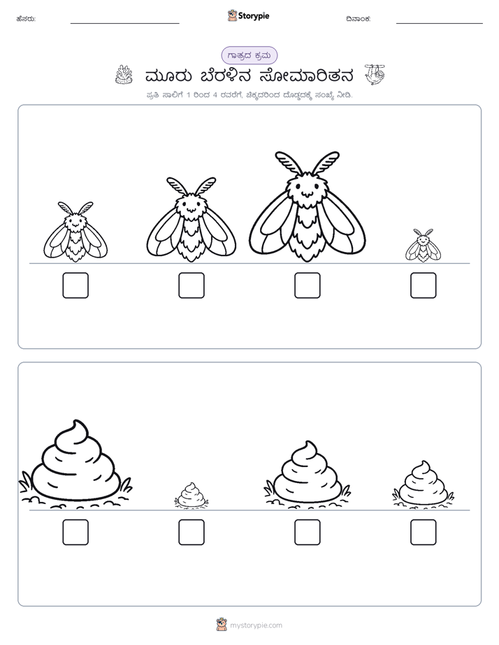 ಗಾತ್ರ ಕ್ರಮ
