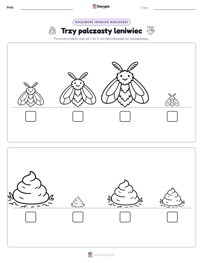 Porządek rozmiarów