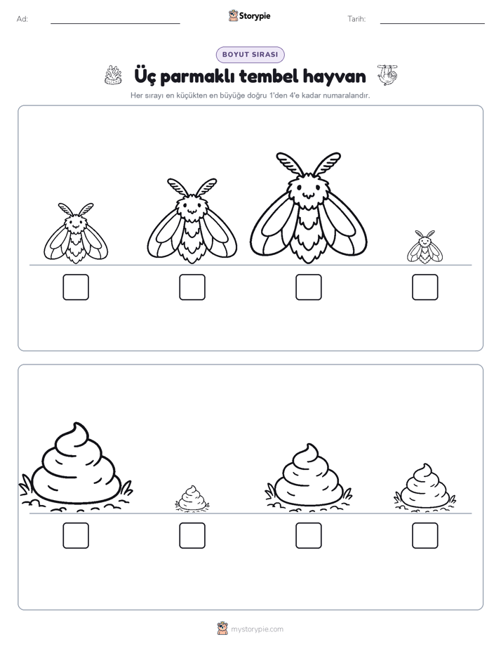 Boy Sıralaması
