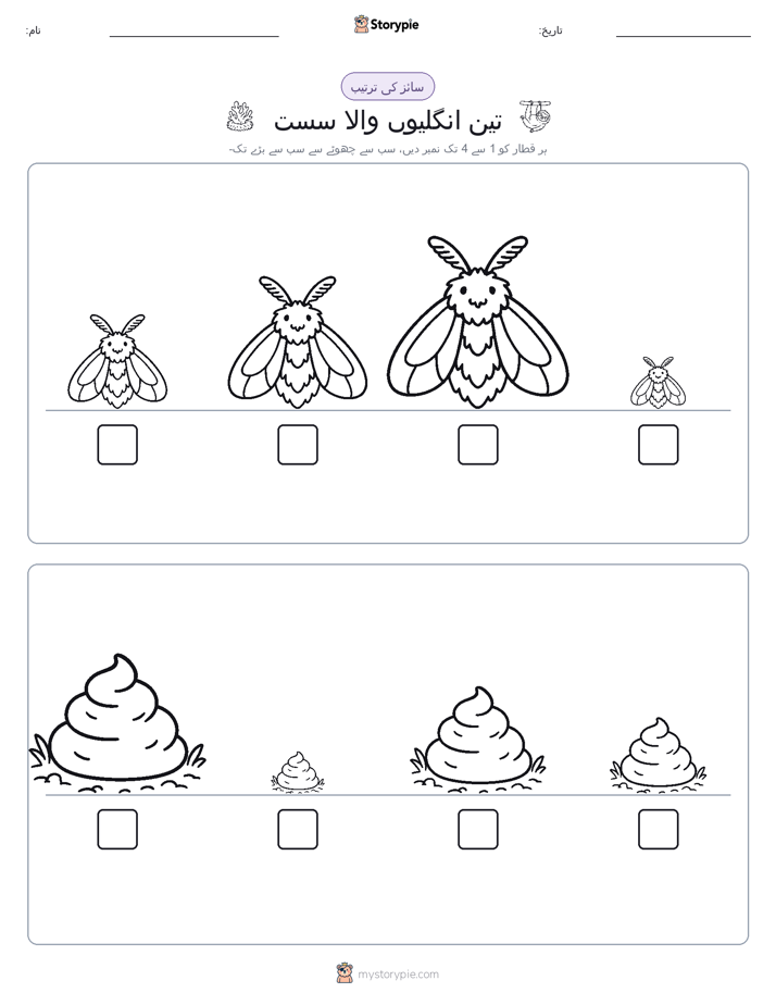 سائز کی ترتیب