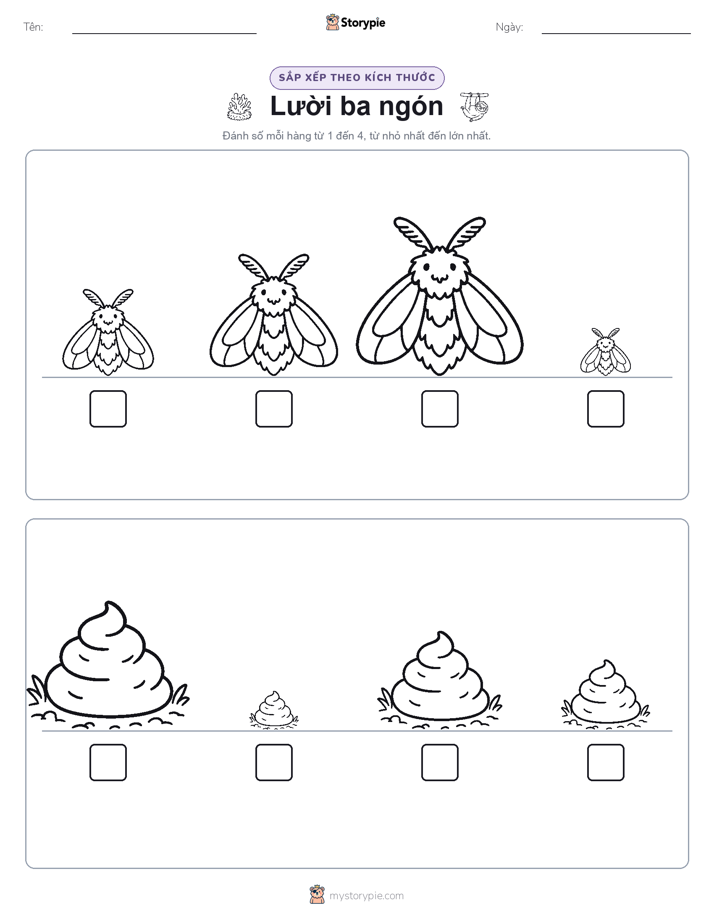 Thứ Tự Kích Thước