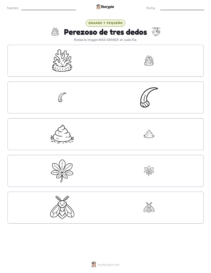 Clasificación