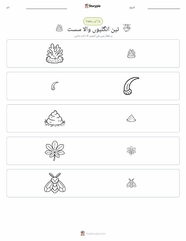 ترتیب دینا