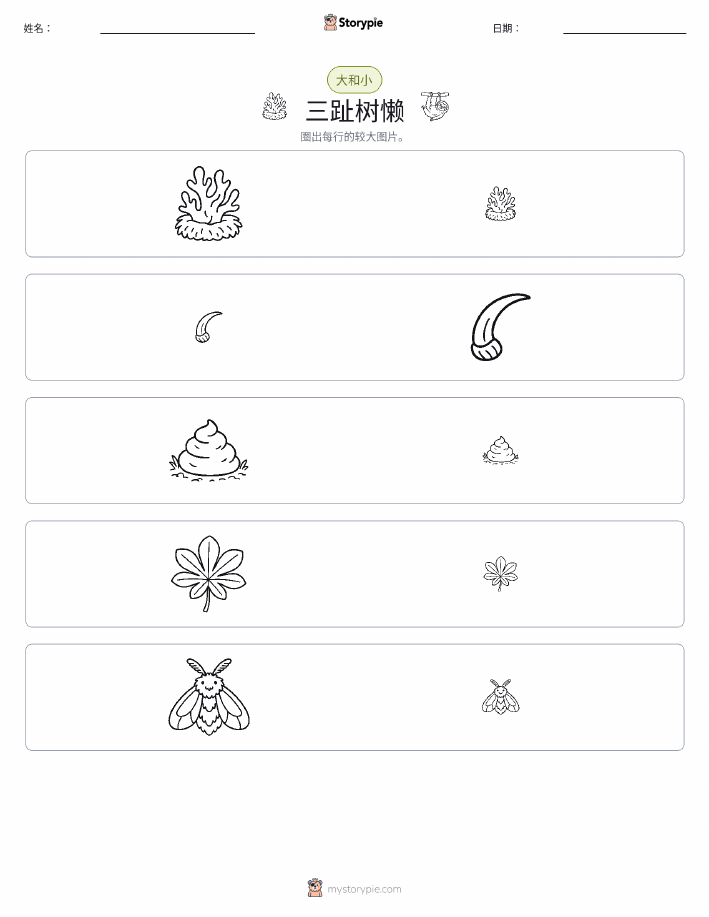 分类