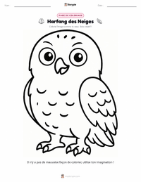 Page de coloriage Harfang des neiges pour les enfants