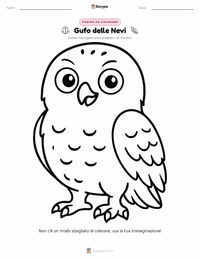 Pagina da colorare di Civetta delle nevi per bambini