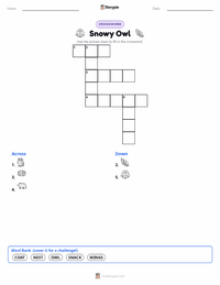Snowy Owl printable worksheet preview