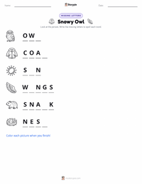 Snowy Owl printable worksheet preview