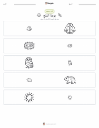معاينة ورقة العمل القابلة للطباعة البومة الثلجية