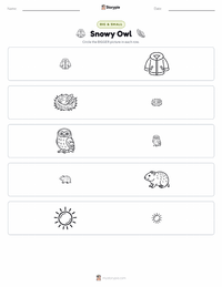 Snowy Owl printable worksheet preview