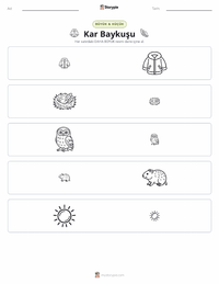 Kar Baykuşu yazdırılabilir çalışma sayfası önizlemesi