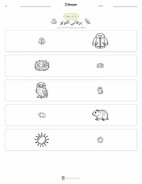 برفانی اُلّو پرنٹ کرنے کے قابل ورکشیٹ کا پیش نظارہ
