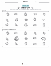Snowy Owl printable worksheet preview