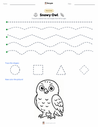 Snowy Owl printable worksheet preview