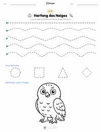Aperçu de la feuille de travail imprimable Harfang des neiges