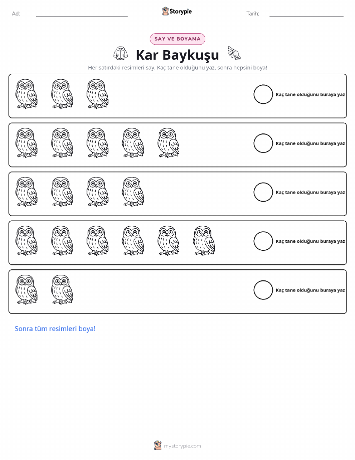 Say & Renklendir