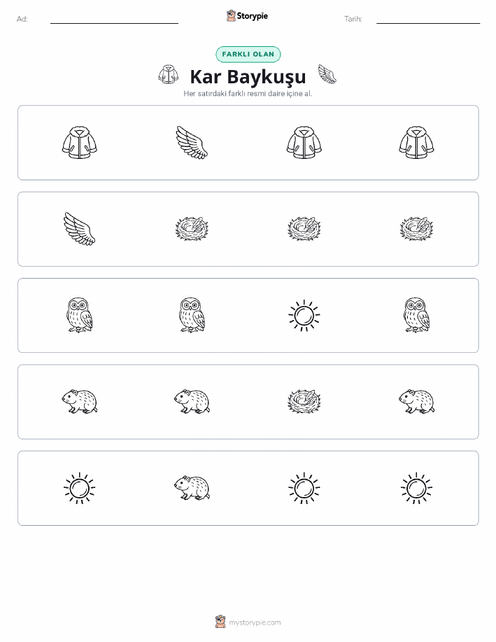 Farklı Olanı Bul
