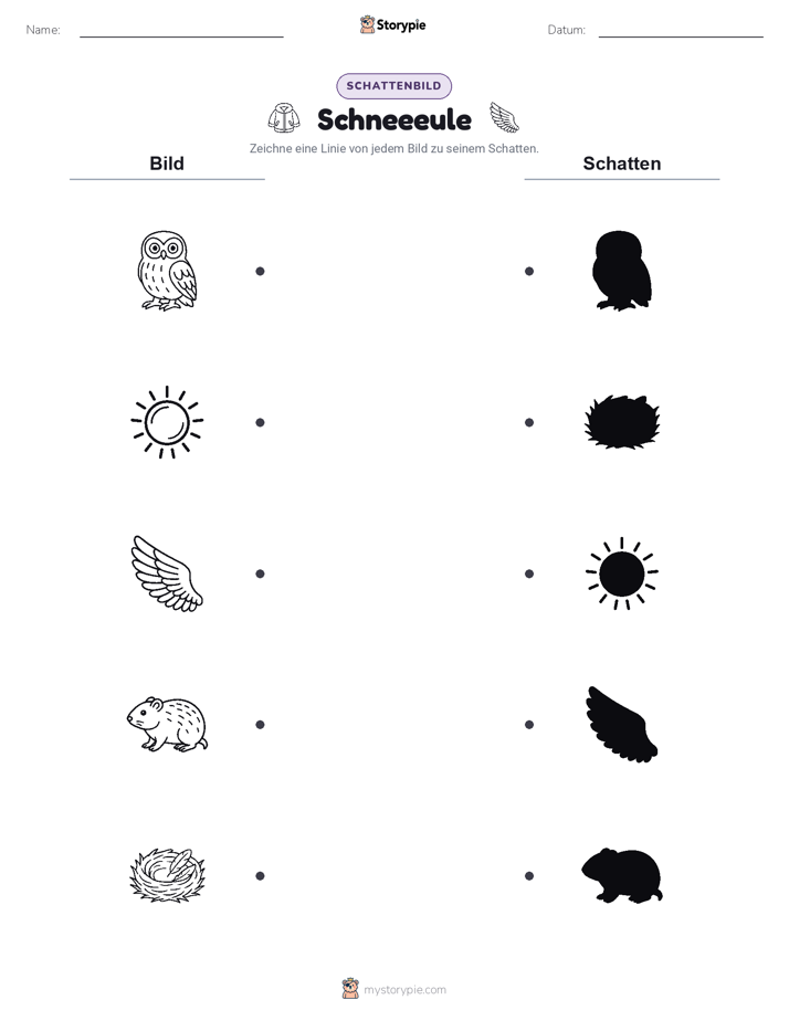 Schattenmatch