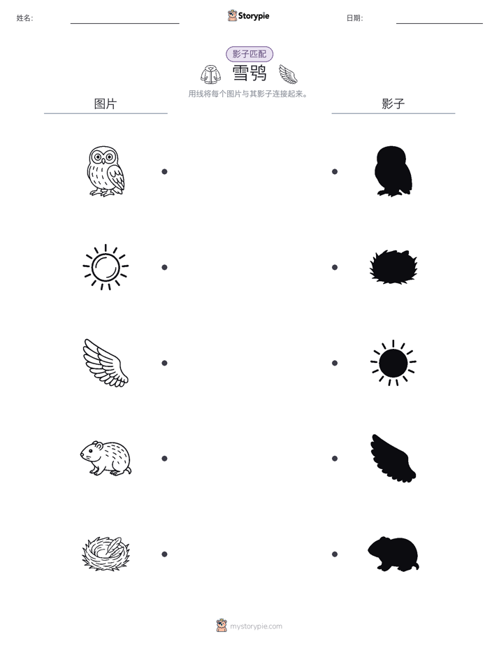 影子匹配
