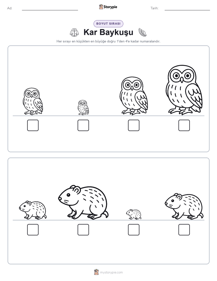 Boy Sıralaması