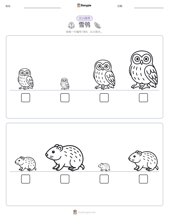 大小排序