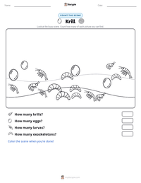 Krill printable worksheet preview