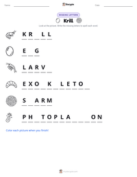 Krill printable worksheet preview