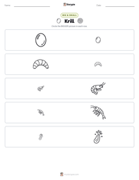 Krill printable worksheet preview
