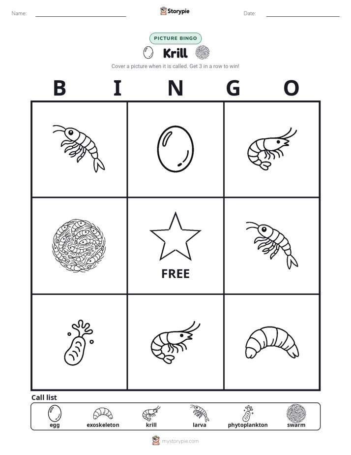 Picture Bingo