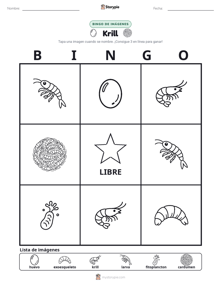 Bingo de Imágenes