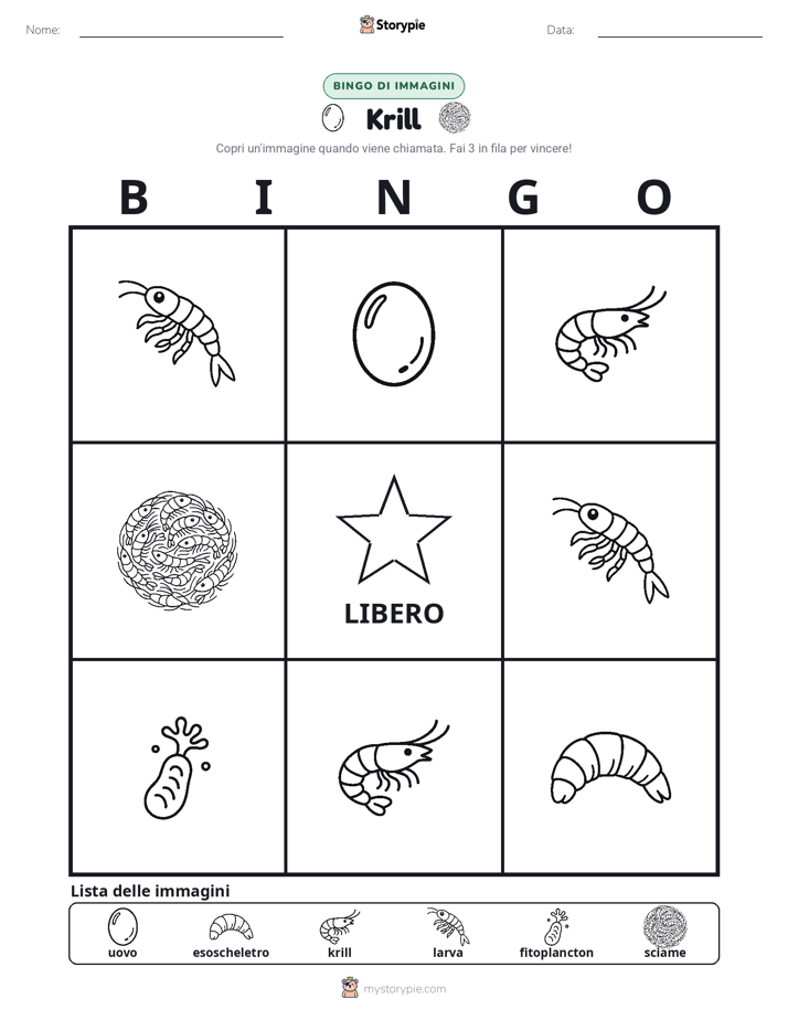 Bingo delle Immagini