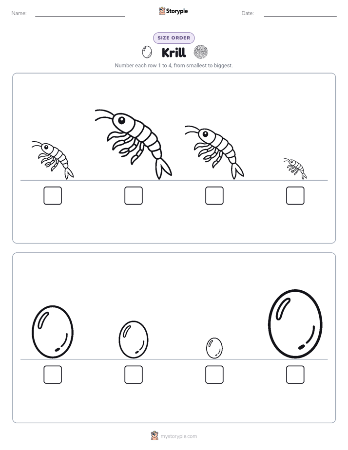 Size Order