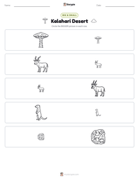 Kalahari Desert printable worksheet preview