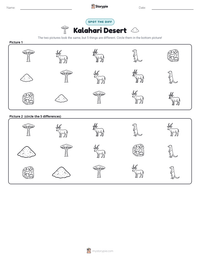 Kalahari Desert printable worksheet preview