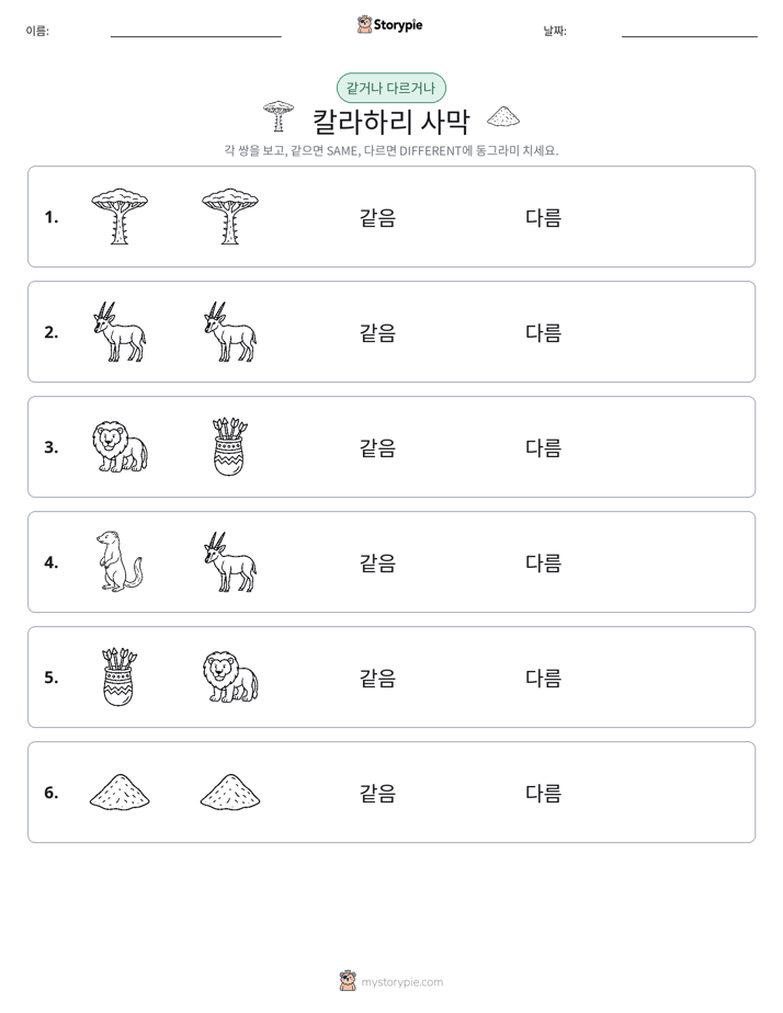 같은 것 또는 다른 것