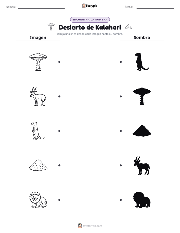 Coincidencia de Sombras