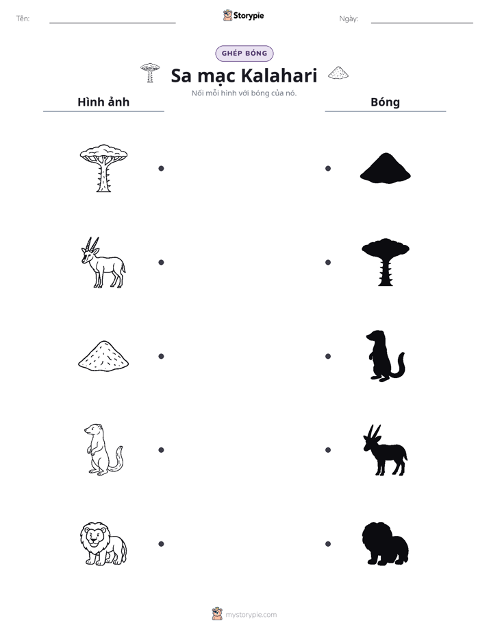 Ghép Hình Bóng