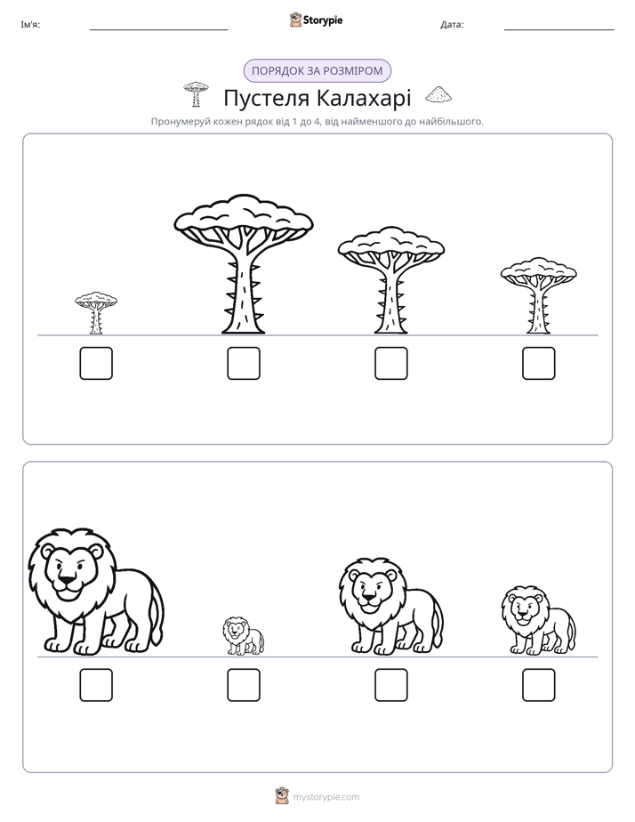 Порядок Розміру