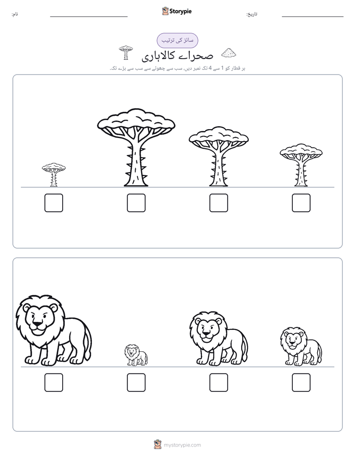 سائز کی ترتیب