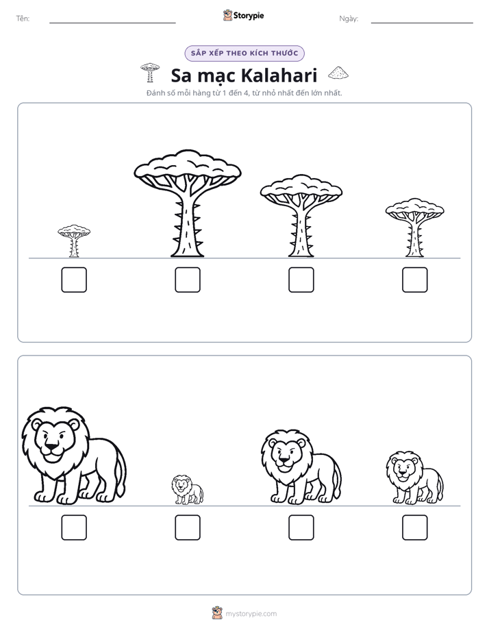Thứ Tự Kích Thước