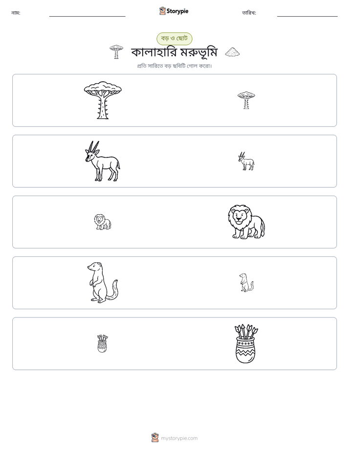 সাজানো