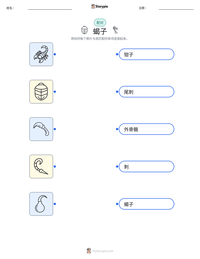 蝎子 可打印工作表预览