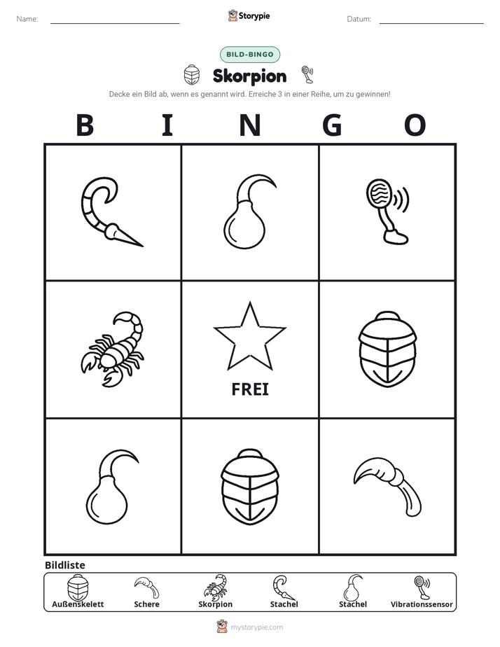 Bild-Bingo