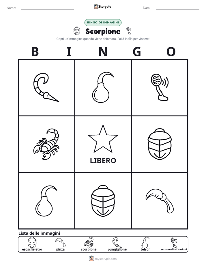 Bingo delle Immagini