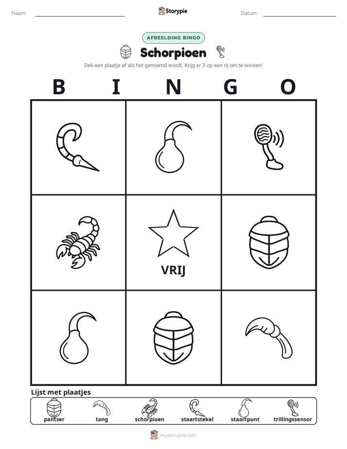 Afbeelding Bingo