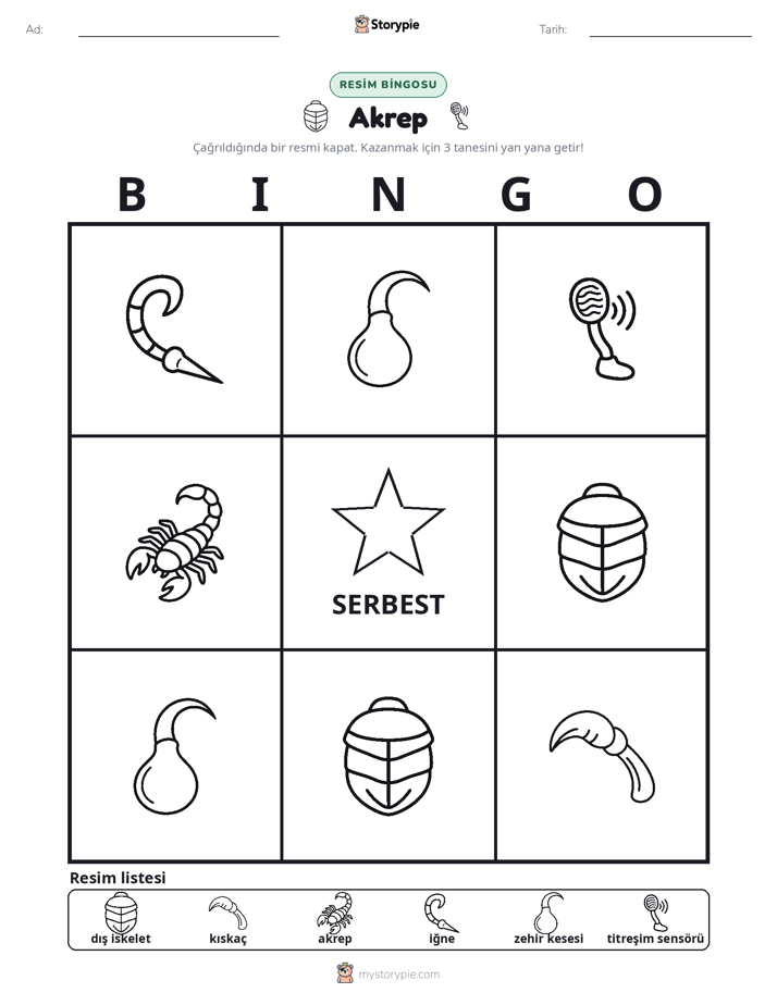 Resim Bingo
