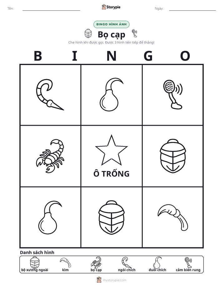 Bingo Hình Ảnh